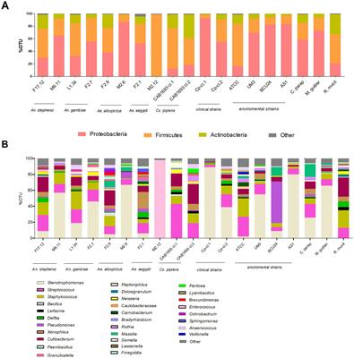 Tripartite interactions comprising yeast-endobacteria systems in the gut of vector mosquitoes